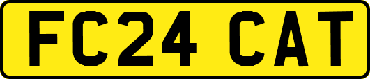 FC24CAT