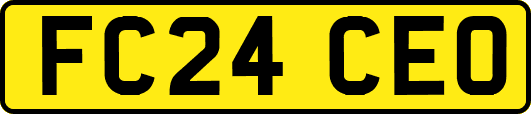 FC24CEO