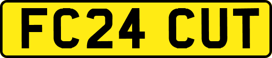 FC24CUT