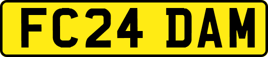 FC24DAM
