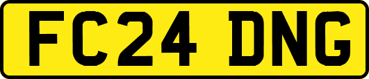 FC24DNG