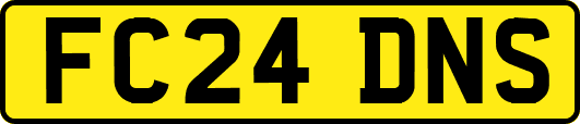 FC24DNS