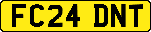 FC24DNT