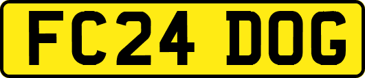 FC24DOG