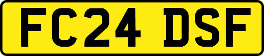 FC24DSF