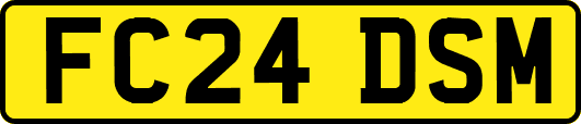 FC24DSM