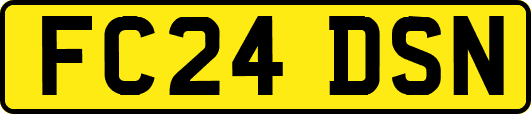 FC24DSN