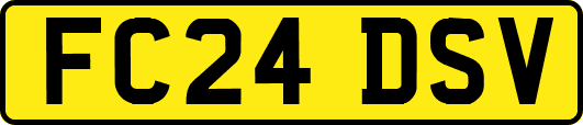 FC24DSV