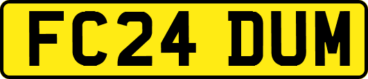 FC24DUM