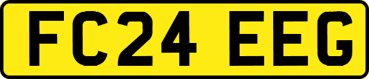 FC24EEG