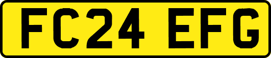 FC24EFG