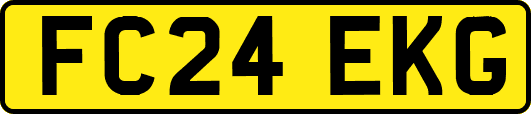 FC24EKG