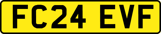 FC24EVF