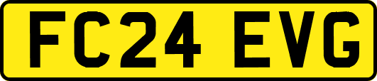 FC24EVG