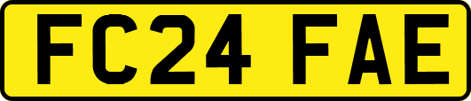 FC24FAE