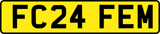 FC24FEM
