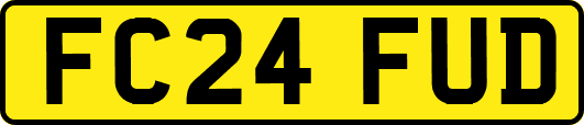 FC24FUD