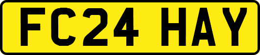 FC24HAY