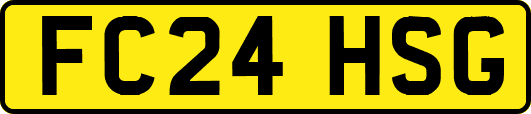 FC24HSG