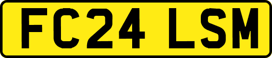 FC24LSM