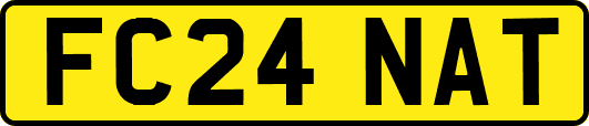 FC24NAT