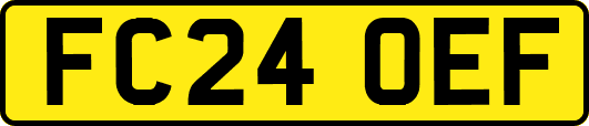 FC24OEF