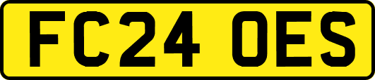 FC24OES
