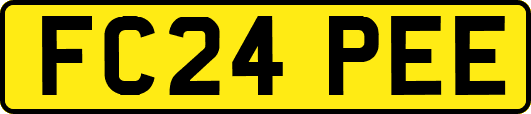 FC24PEE