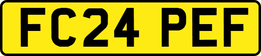 FC24PEF