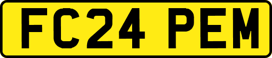 FC24PEM