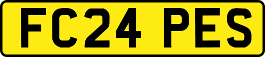 FC24PES