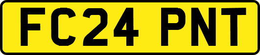FC24PNT