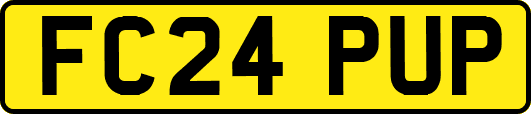 FC24PUP
