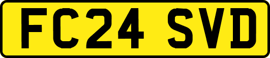 FC24SVD