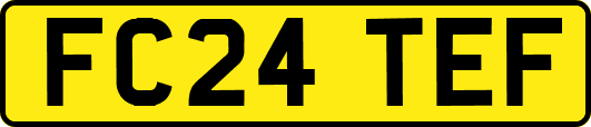 FC24TEF