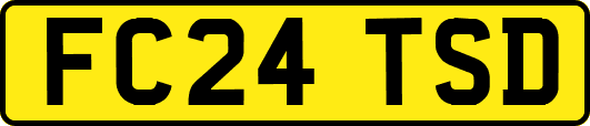 FC24TSD