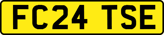 FC24TSE