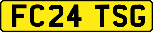 FC24TSG