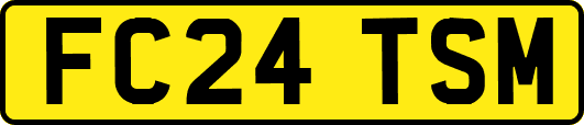 FC24TSM
