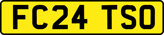 FC24TSO