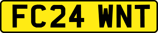 FC24WNT