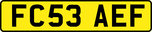 FC53AEF