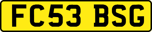 FC53BSG