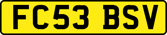FC53BSV