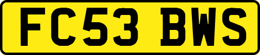 FC53BWS
