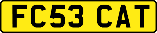 FC53CAT