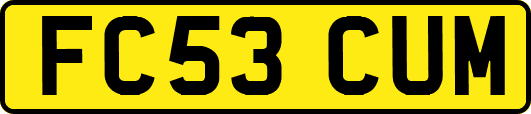 FC53CUM