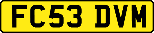 FC53DVM