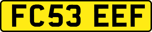 FC53EEF