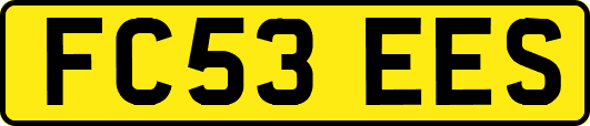 FC53EES
